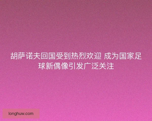 胡萨诺夫回国受到热烈欢迎 成为国家足球新偶像引发广泛关注